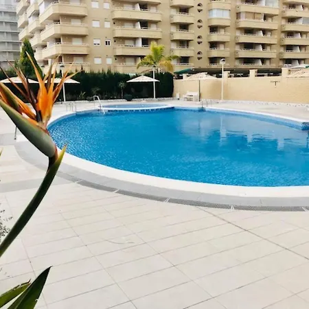 Terraza Al Mar Magic World Apartment *